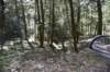 dsc_3189_fs_small.jpg