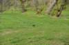 dsc_3340_fs_small.jpg