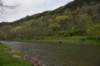 dsc_3341_fs_small.jpg