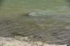 dsc_3342_fs_small.jpg
