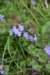 dsc_3344_fs_small.jpg