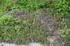 dsc_3347_fs_small.jpg