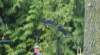 dsc_3352_fscrop_small.jpg