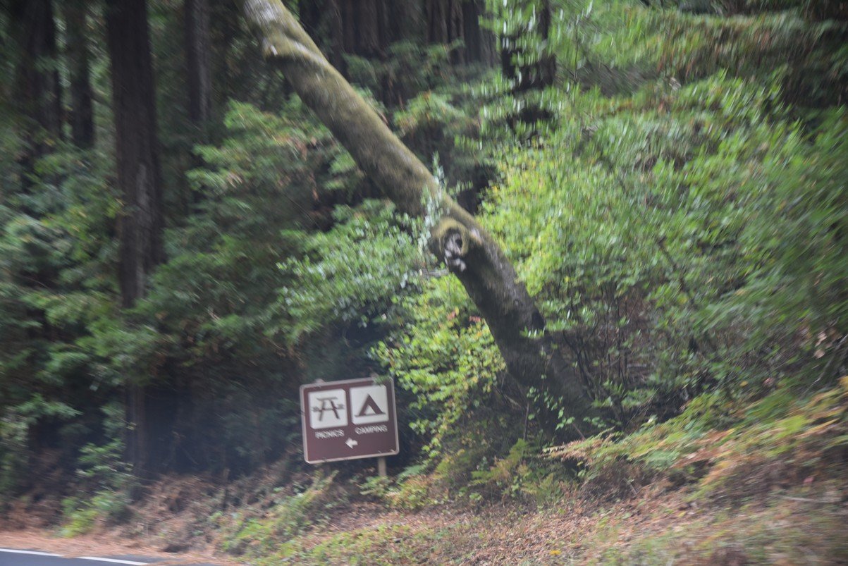 dsc_8548_fs.jpg