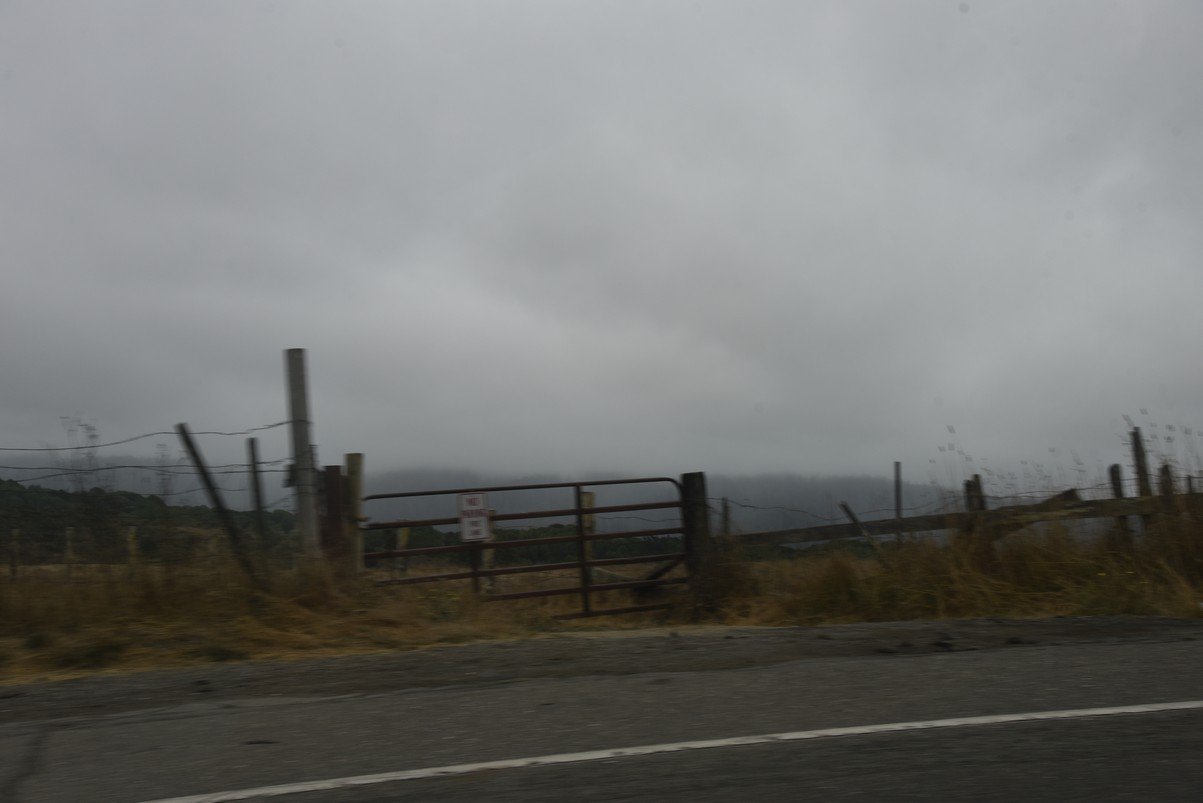 dsc_8558_fs.jpg