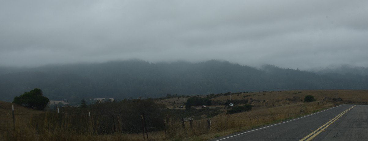 dsc_8559_fs.jpg