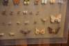 dsc_8584_fs_small.jpg