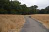 dsc_8588_fs_small.jpg