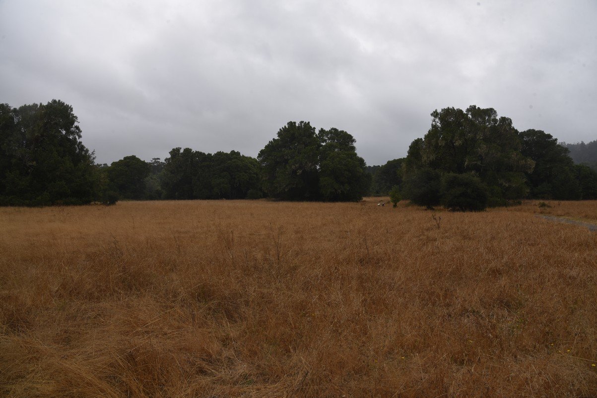 dsc_8590_fs.jpg