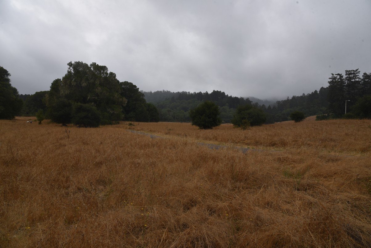 dsc_8591_fs.jpg
