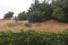 dsc_8600_fs_small.jpg