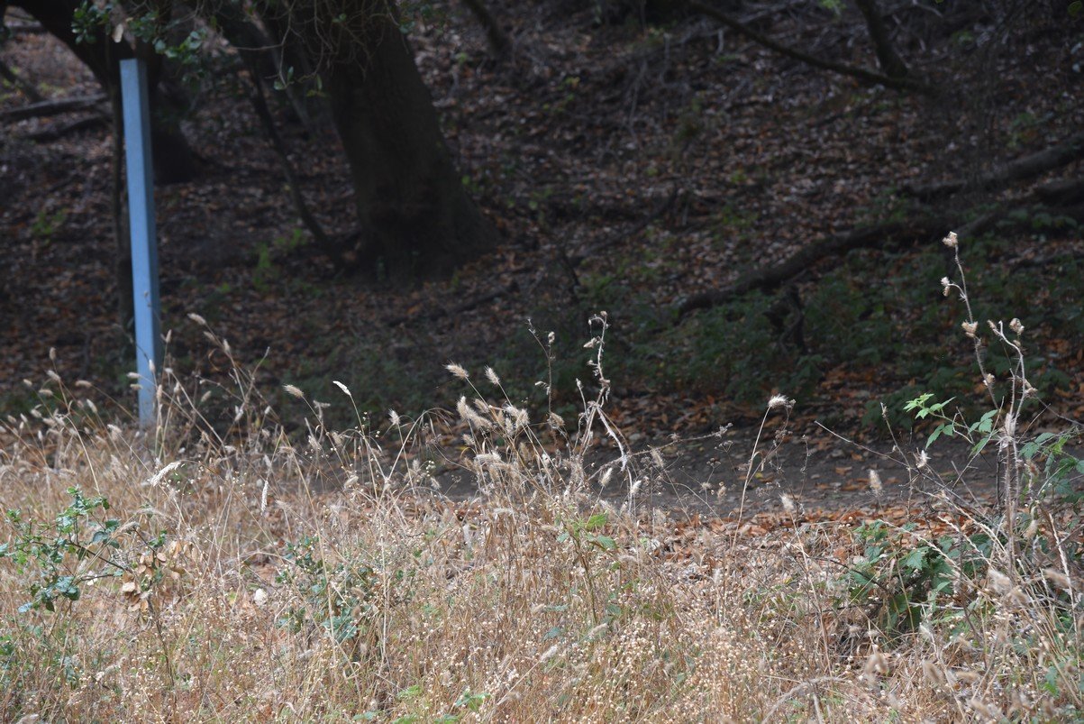 dsc_8622_fs.jpg