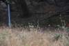 dsc_8622_fs_small.jpg