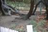 dsc_8627_fs_small.jpg