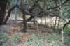 dsc_8628_fs_small.jpg
