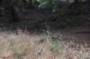 dsc_8632_fs_small.jpg