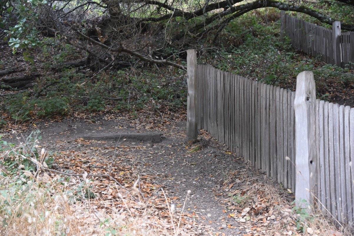 dsc_8633_fs.jpg