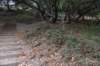 dsc_8641_fs_small.jpg