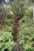 dsc_8643_fs_small.jpg