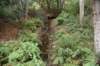dsc_8644_fs_small.jpg