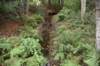 dsc_8645_fs_small.jpg