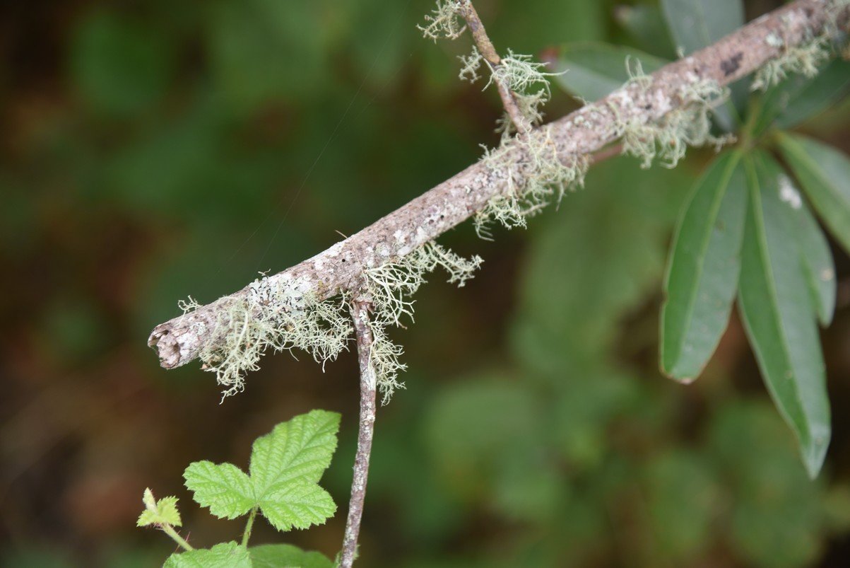 dsc_8646_fs.jpg
