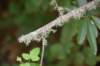 dsc_8646_fs_small.jpg