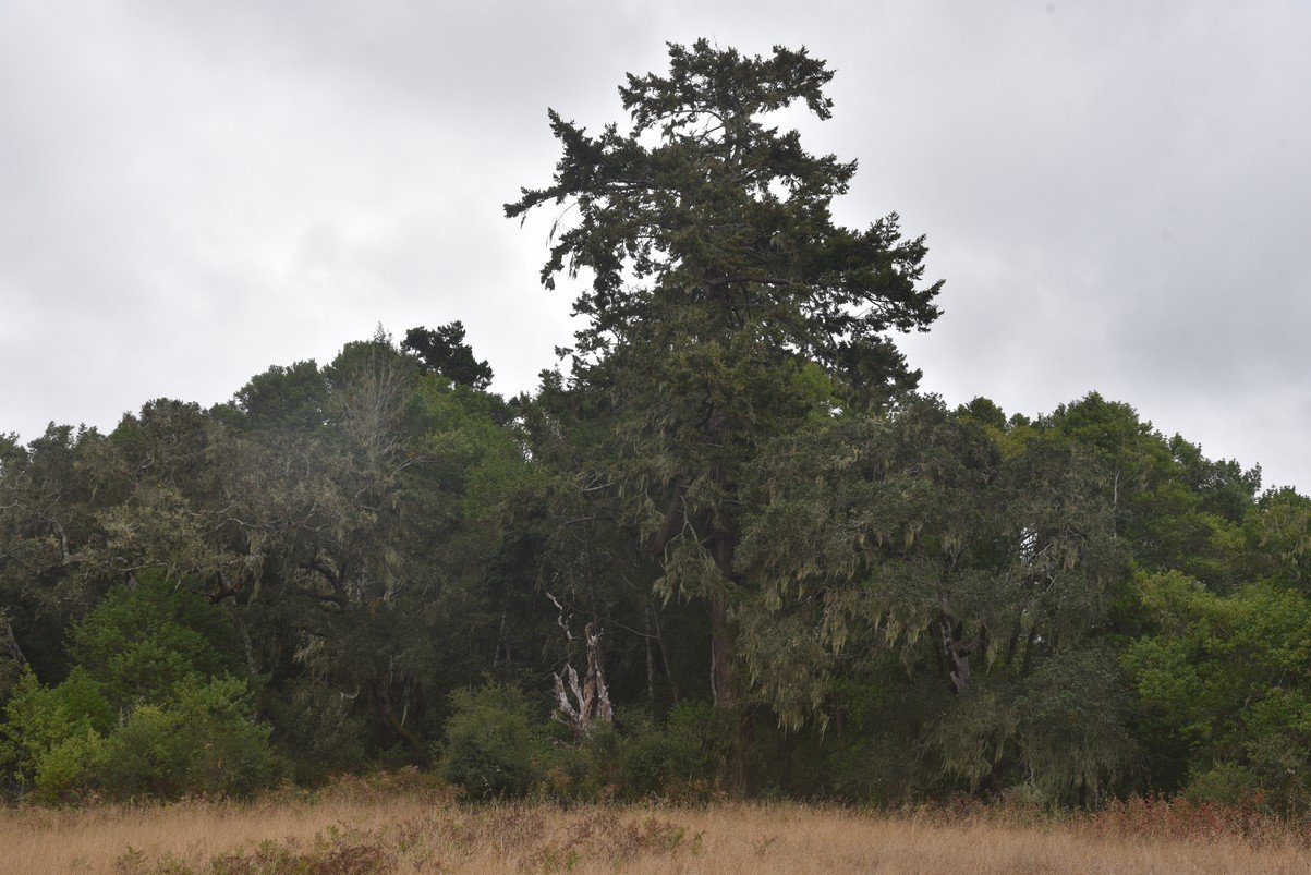 dsc_8684_fs.jpg