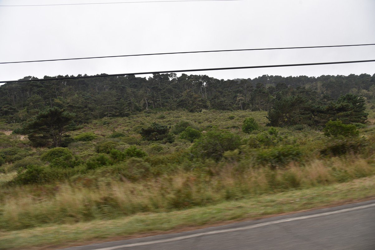 dsc_8692_fs.jpg