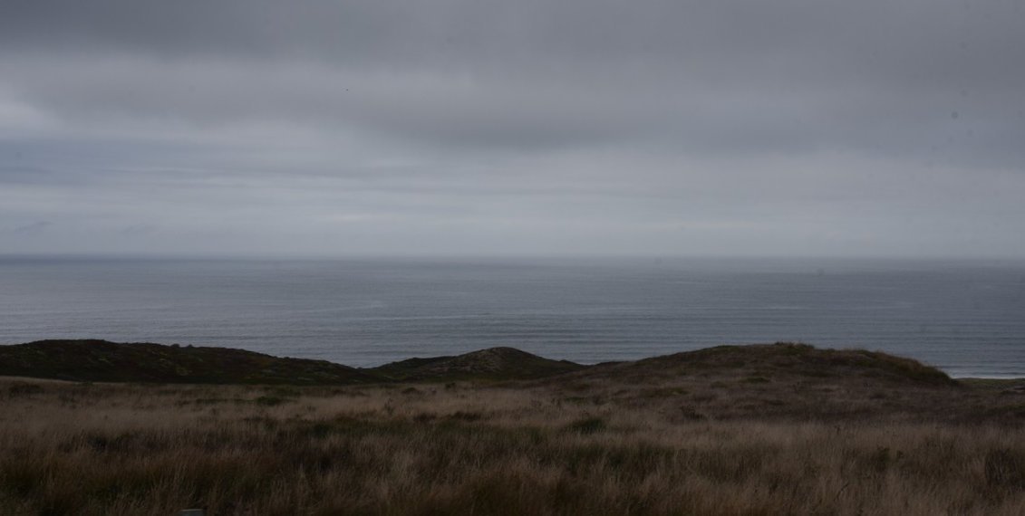 dsc_8719_fs.jpg