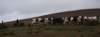 dsc_8728_fs_small.jpg