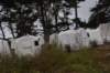 dsc_8729_fs_small.jpg