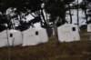 dsc_8730_fs_small.jpg