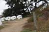 dsc_8731_fs_small.jpg