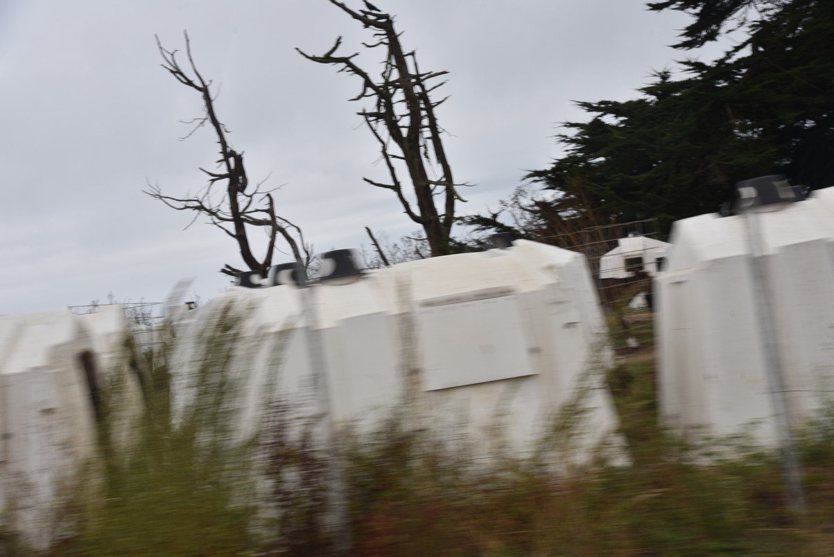 dsc_8732_fs.jpg