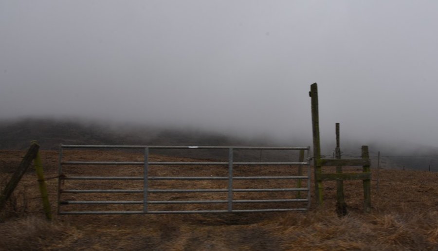 dsc_8734_fs.jpg