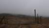 dsc_8734_fs_small.jpg