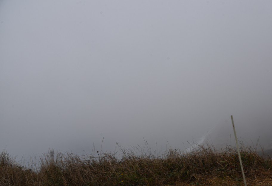 dsc_8738_fs.jpg