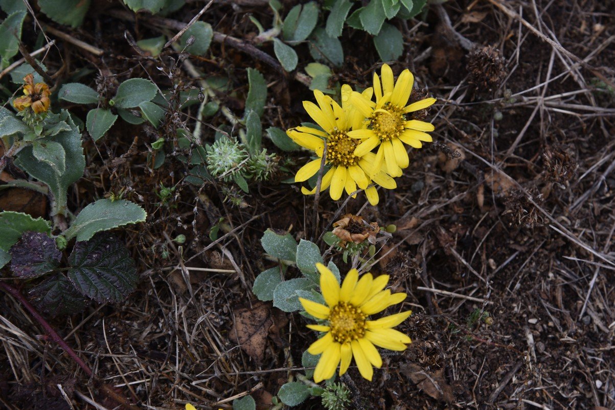 dsc_8748_fs.jpg