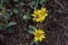 dsc_8748_fs_small.jpg