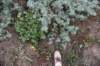 dsc_8749_fs_small.jpg