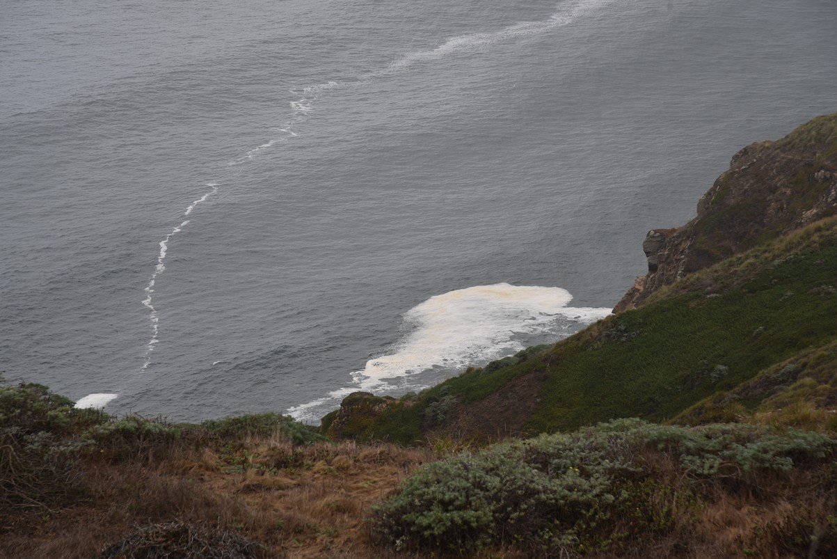 dsc_8753_fs.jpg