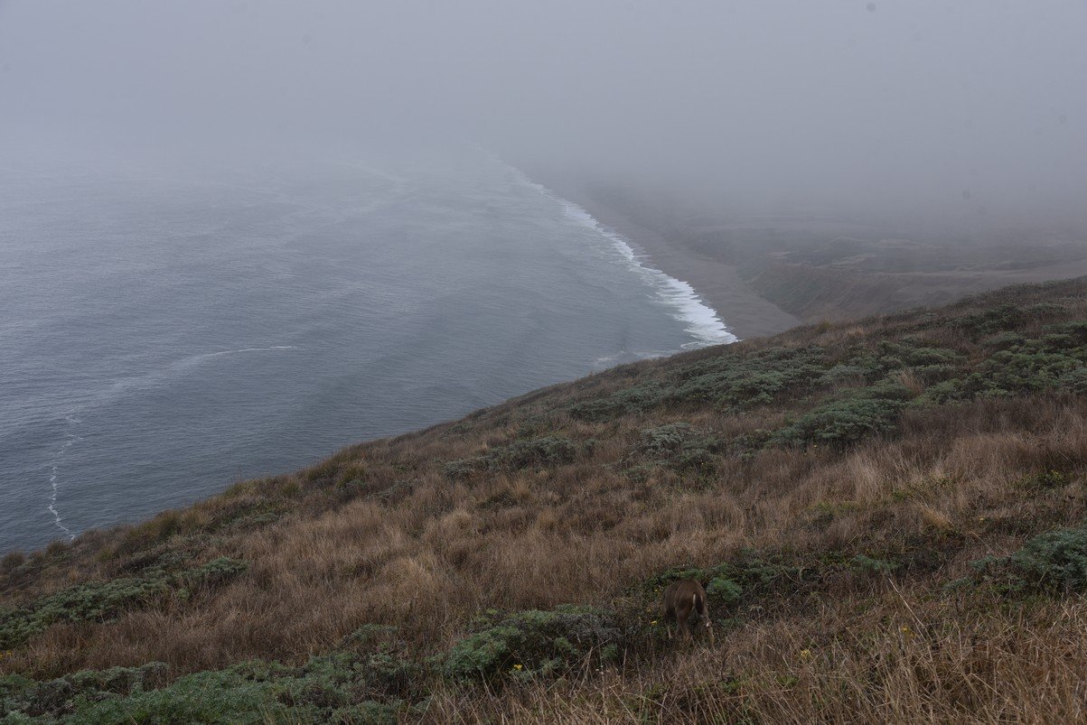 dsc_8759_fs.jpg