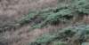 dsc_8760_fs_small.jpg