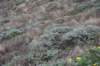 dsc_8762_fs_small.jpg