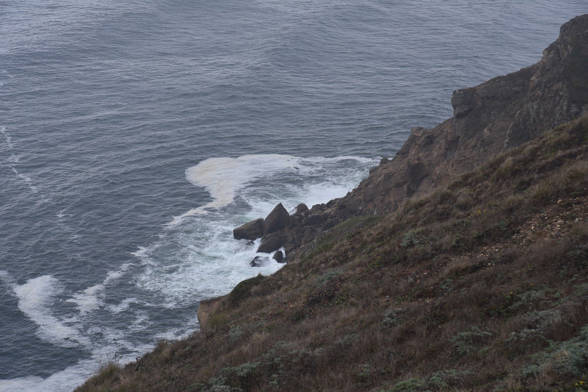 dsc_8763_fs.jpg