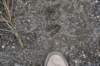 dsc_8764_fs_small.jpg