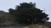 dsc_8765_fs_small.jpg