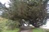 dsc_8766_fs_small.jpg