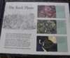 dsc_8769_fs_small.jpg